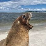 Donald McIntosh - @donald.mcintosh1 - Instagram