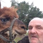 Donald Mckee - @donaldmckee56 - Instagram