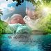 Donald McKee - Facebook