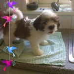 Donald Mclean - @donald.mclean.100 - Instagram