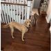 Don McNabb - Facebook