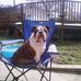Donald McRae - Facebook