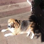 Donald Mead - @donald_mead - Instagram