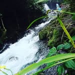 Donald Molina - @donaldmolina799 - Instagram