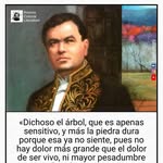 Donald Molina - @donaldmolina5 - Instagram