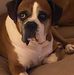 Donald Mudd - Facebook