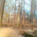 Don Murphree - Facebook