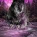 Donald Niles - Facebook