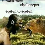 Donald Noah - @donaldnoah663 - Instagram