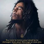 Donald Noah - @donaldnoah78 - Instagram