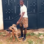 Donald Noah - @donaldnoah25 - Instagram