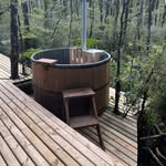 Donald North - @artostezoo2 - Instagram