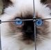 Don Northrup - Facebook