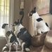 Don Nowak - Facebook