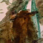 Donald O'Connor - @donald.oconnor.798 - Instagram