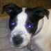 Donald Ogden - Facebook