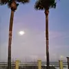 donaldogden515 - @donaldogden515 - TikTok