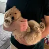 donaldthegolden - @donaldthegolden - TikTok