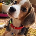 Donald oldham - @donald.oldham.90 - Instagram