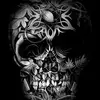 Donald Jerome Ostrander - @donald.jerome.ost - TikTok