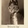 donaldostrander - @donaldostrander - TikTok