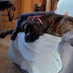 Donald Ouellette - Facebook