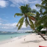 Donald De Palm - @donalddepalm - Instagram