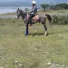 Donaldo Palma - @donaldopalma1 - TikTok