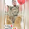 Wîll Ďōnāld Pālōmînō - @wildonald - TikTok