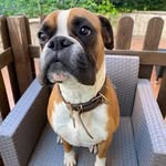 Donald Pedro - @donalp671 - Instagram
