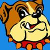 Donald Helton - @legobulldog - TikTok