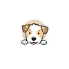 THOMAS SALE’S - @donaldpets - TikTok