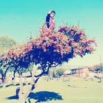 Donald Perez - @donalitoperezmayorga - Instagram