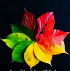 Donald Persaud - Facebook