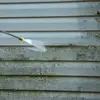 Donald Pressure Washing, LLC - @donald.pressure.w - TikTok