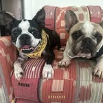 don - @donald_w_pfeiffer - Instagram