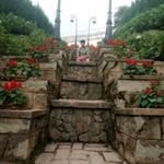 Quân Phan - @phan_donald - Instagram