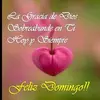 donaldphilippe - @donaldphilippe - TikTok