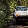 Phoenix Mcdonald - @phoenix.mcdonald1 - TikTok