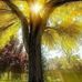 Donald Pichette - Facebook