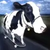 Mcdonaldpickles - @mcdonaldpickles - TikTok