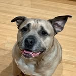Donald Plumley - @donaldplumley - Instagram