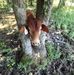 Donald Plummer - Facebook
