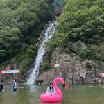 Donald Plummer - @donaldplummer1 - Instagram
