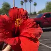 DONALDPOSTSDCKPICS - @donaldpostsdckpics - TikTok