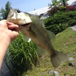 Donny - @donaldpost - Instagram