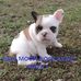 Donald Pullen - Facebook