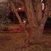Donald Pullen - Facebook