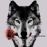 Donald Purdy484 - @donaldpurdy484 - TikTok