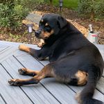 Donald Purvis - @donaldpurvis8 - Instagram